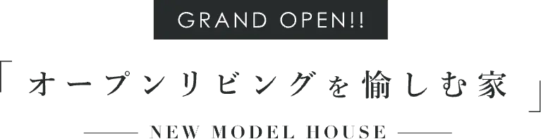 GRAND OPEN!! オープンリビングを愉しむ家 - NEW MODEL HOUSE -