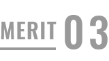 MERIT02