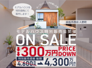 入野モデル販売会